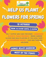 Help us plant flowers